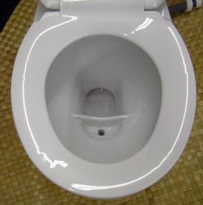 urinedivertingtoilet